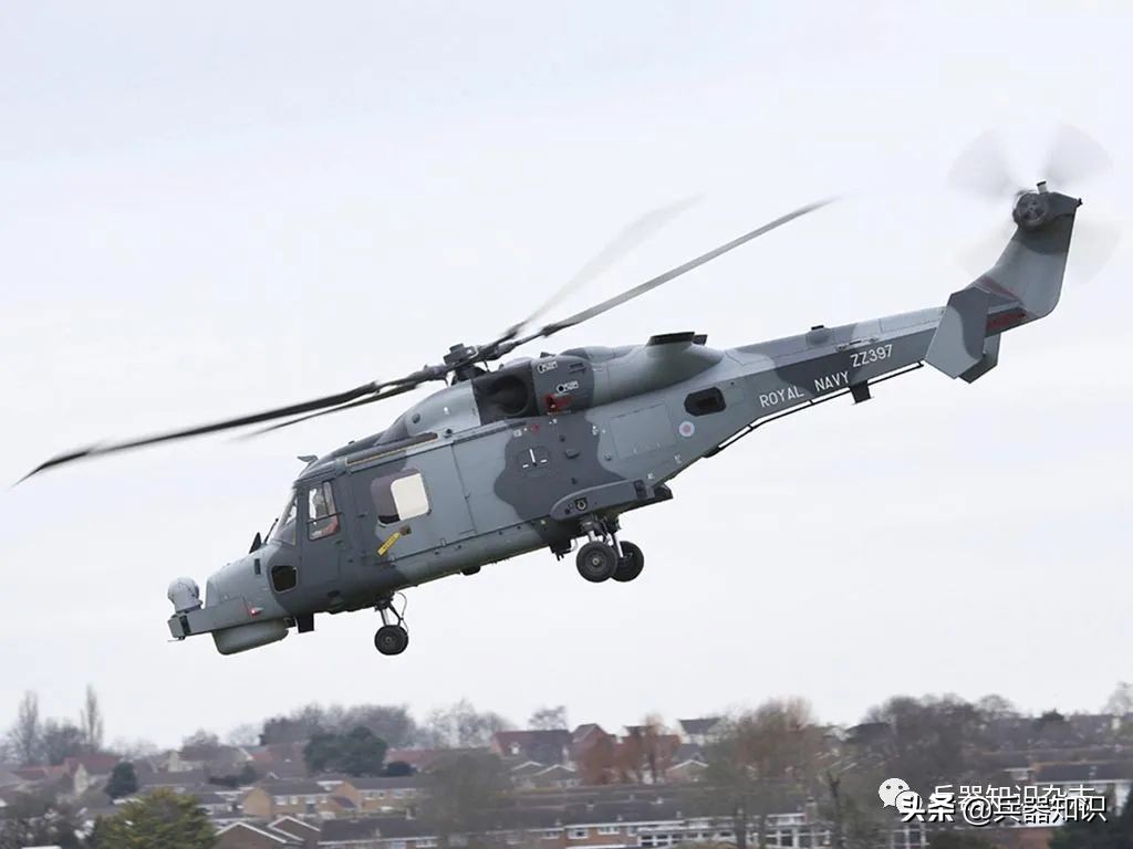 飞天的猫,飞天的猫和鱼