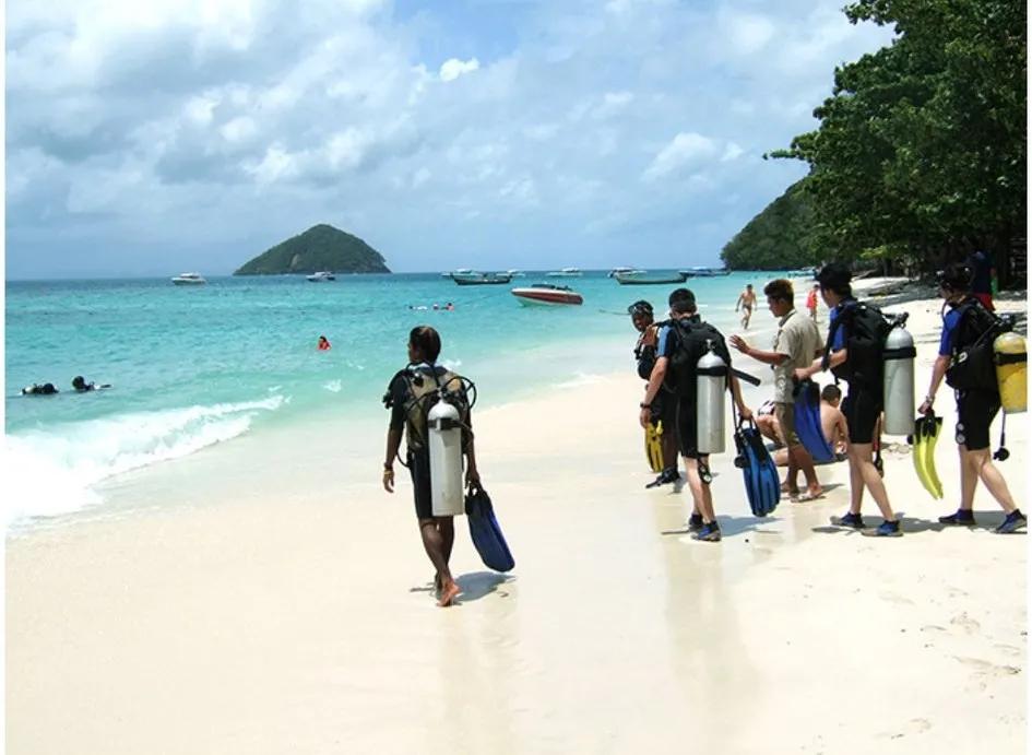 中国游客占泰国旅游人数的比例,为什么泰国那么欢迎中国游客