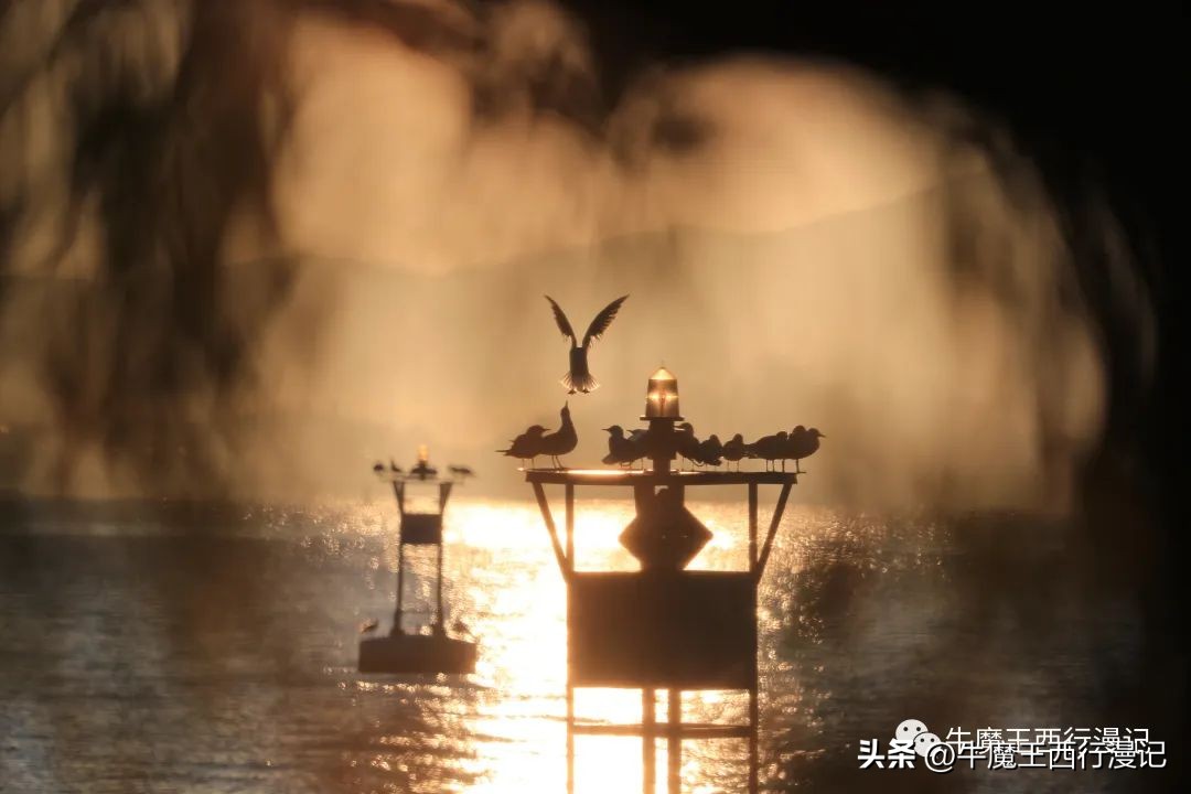 朝霞最美,最美朝霞歌曲