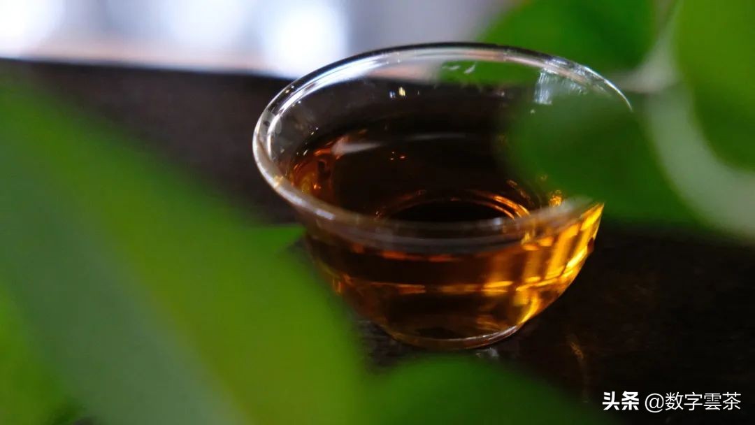 普洱泡出来有股苦涩菜汤味,普洱茶茶汤混浊是内含物质丰富吗