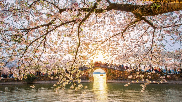 郭沫若走过长征吗,郭沫若投降