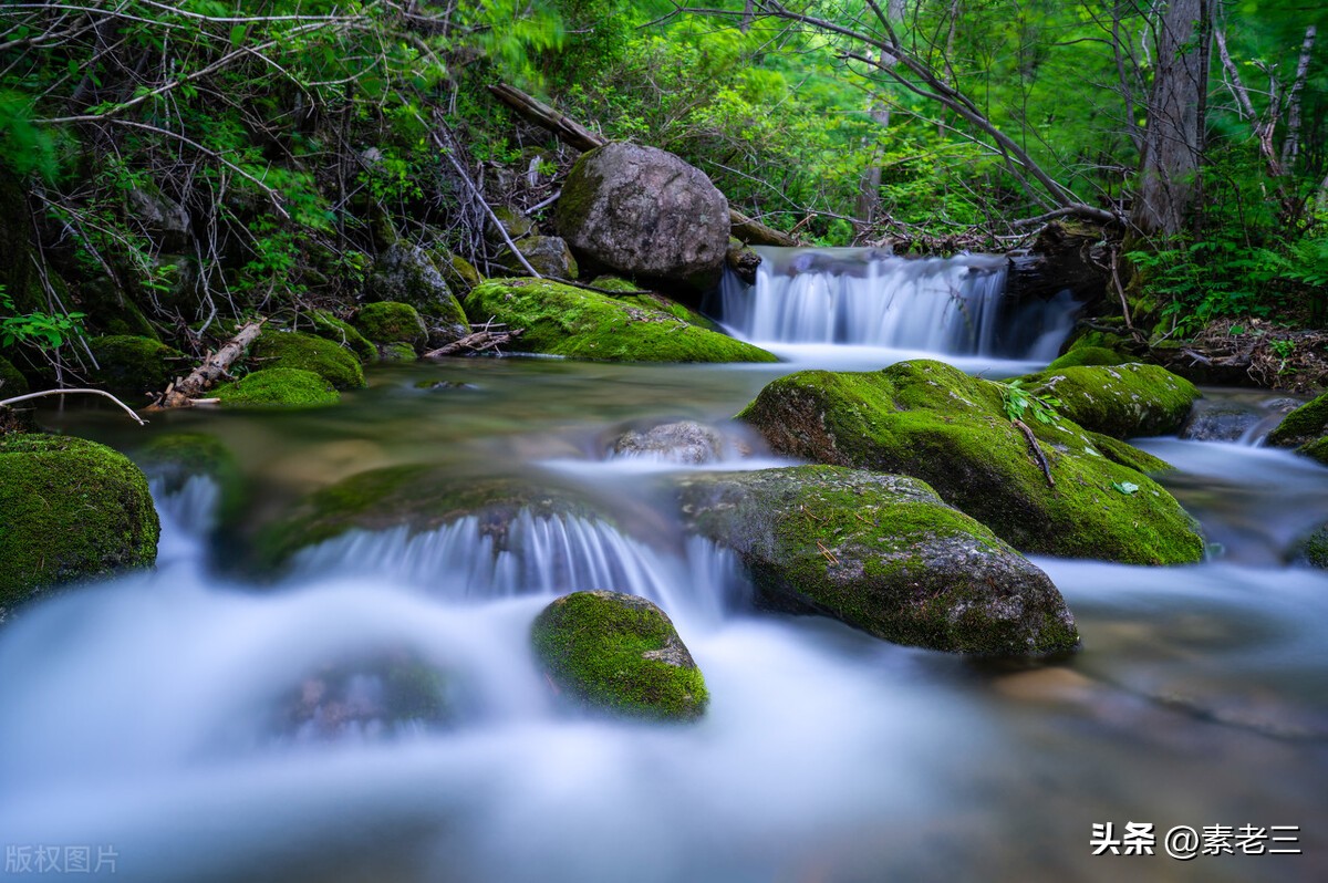 女作家去做保姆和雇主过招,女作家去做保姆982集