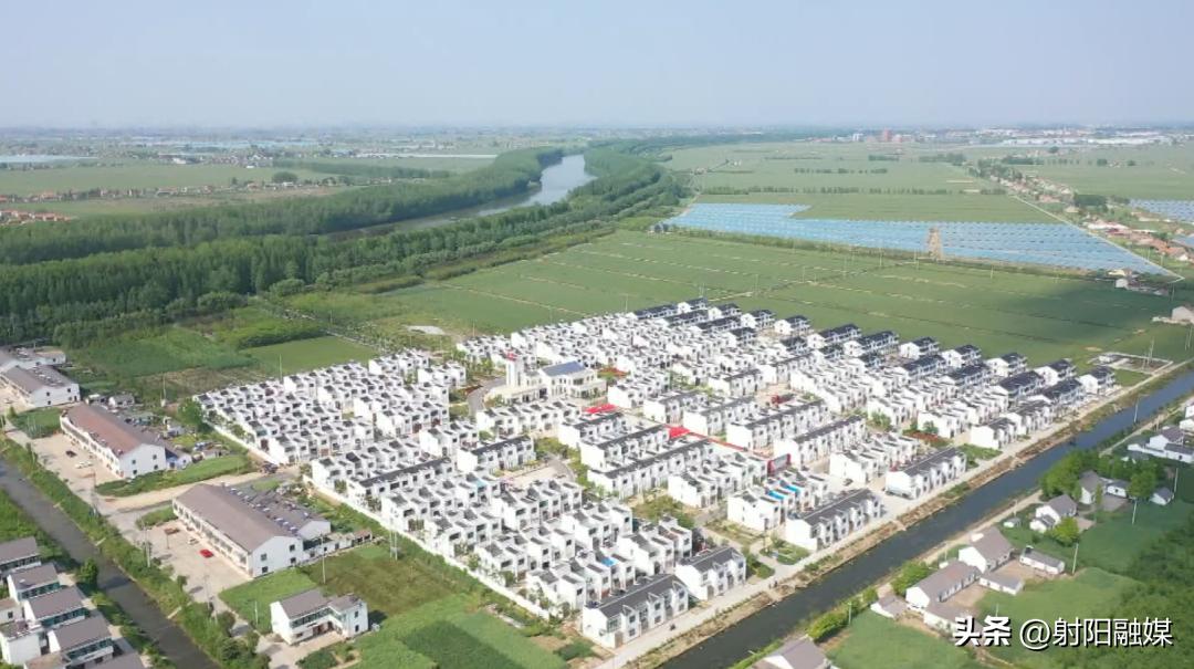 学思践悟二十大｜兴桥镇：以项目建设突破促发展跨越提速