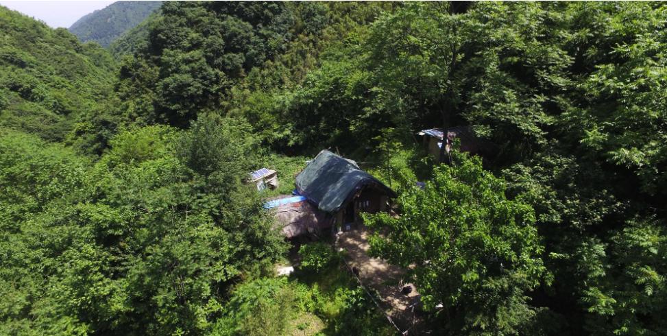 终南山上万隐士都是在修行吗,终南山隐居到底有多恐怖