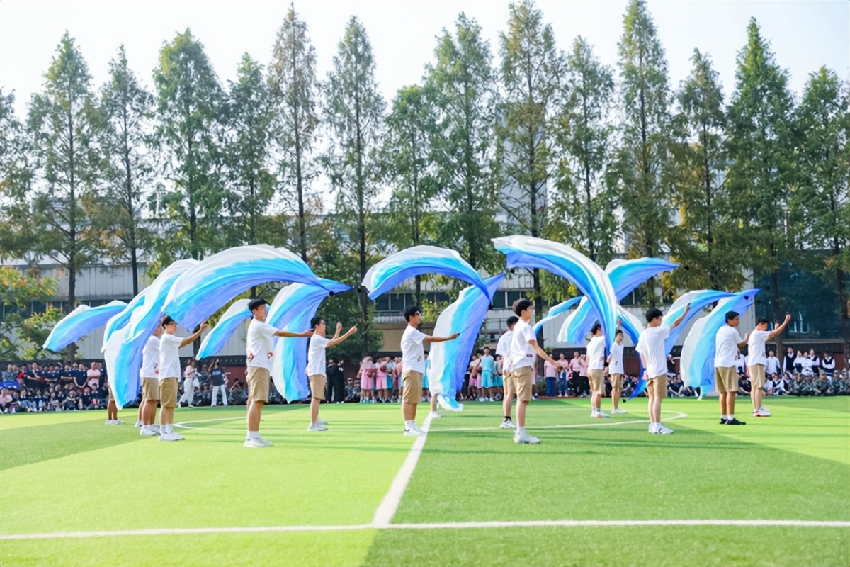 全力以赴青春精彩,全力以赴春天的梦想