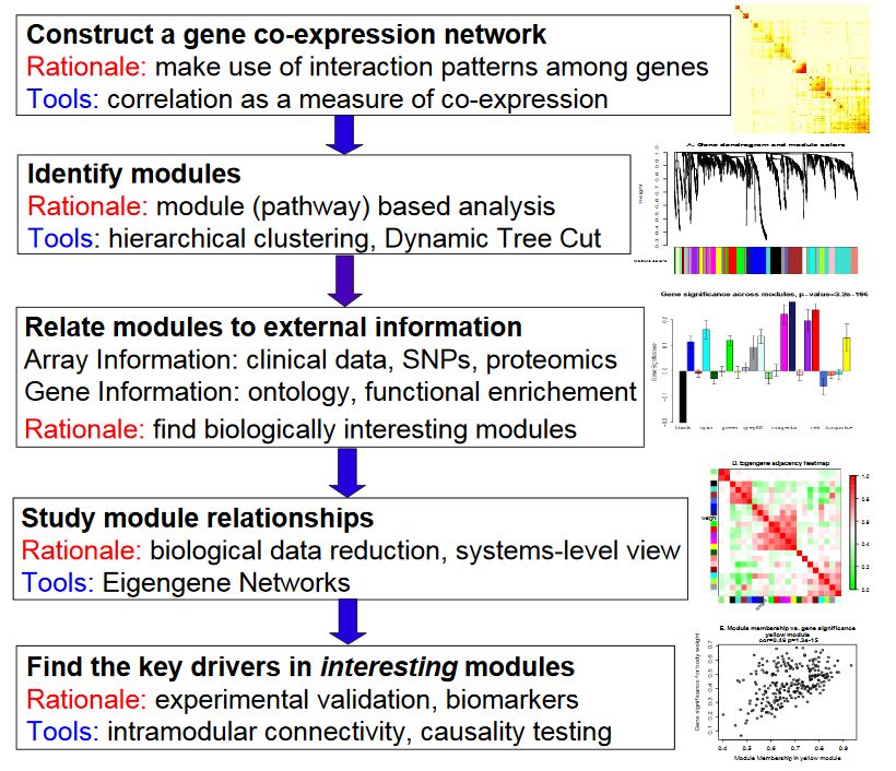 wgcna分析结果解读,wgcna分析与gsea分析区别