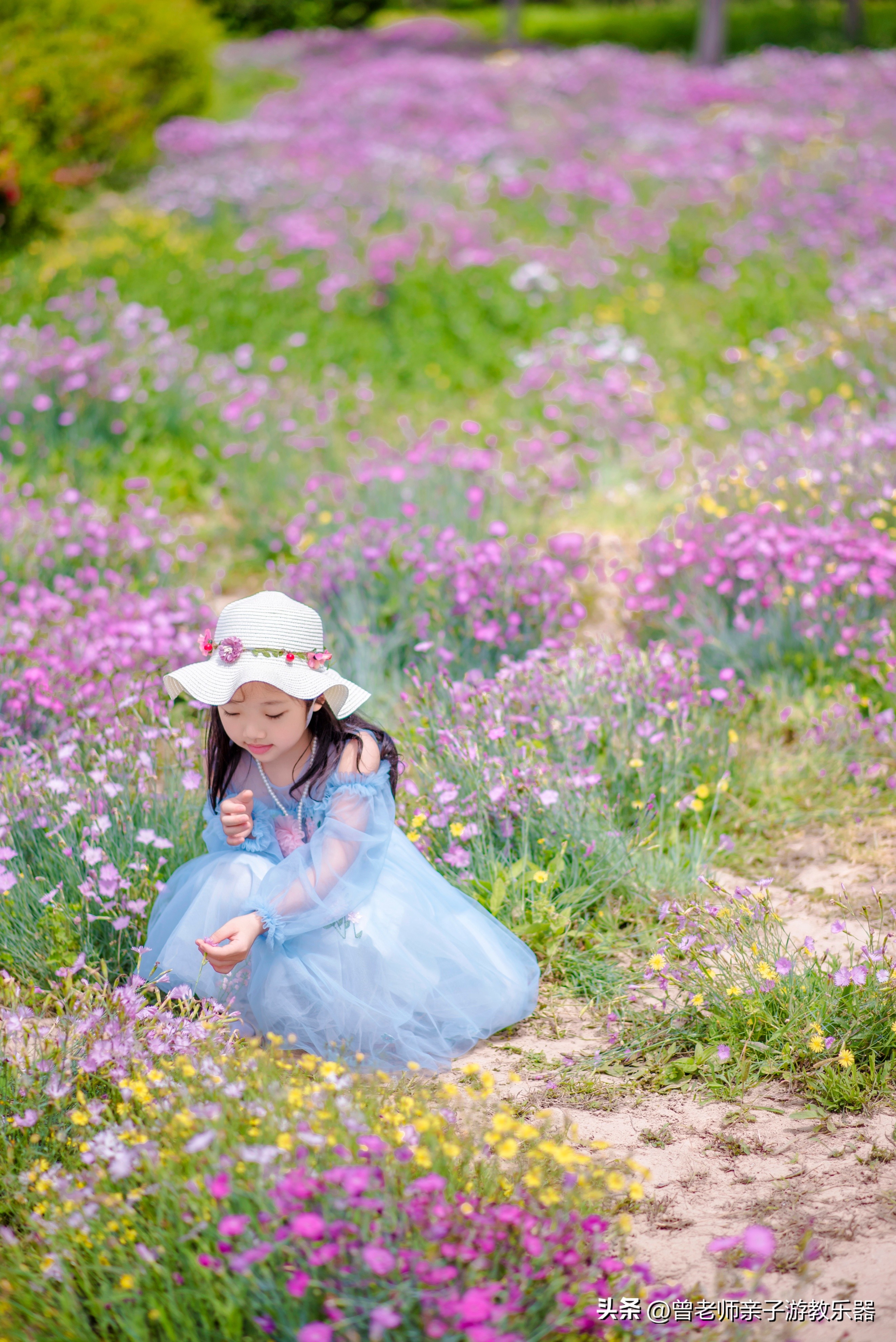 西安市内旅游必去景点攻略一览表,西安五天旅游景点攻略大全