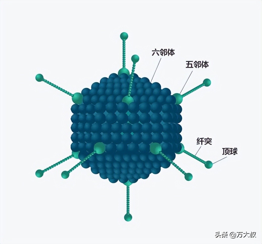 德国儿童肝炎,欧美爆发肝炎