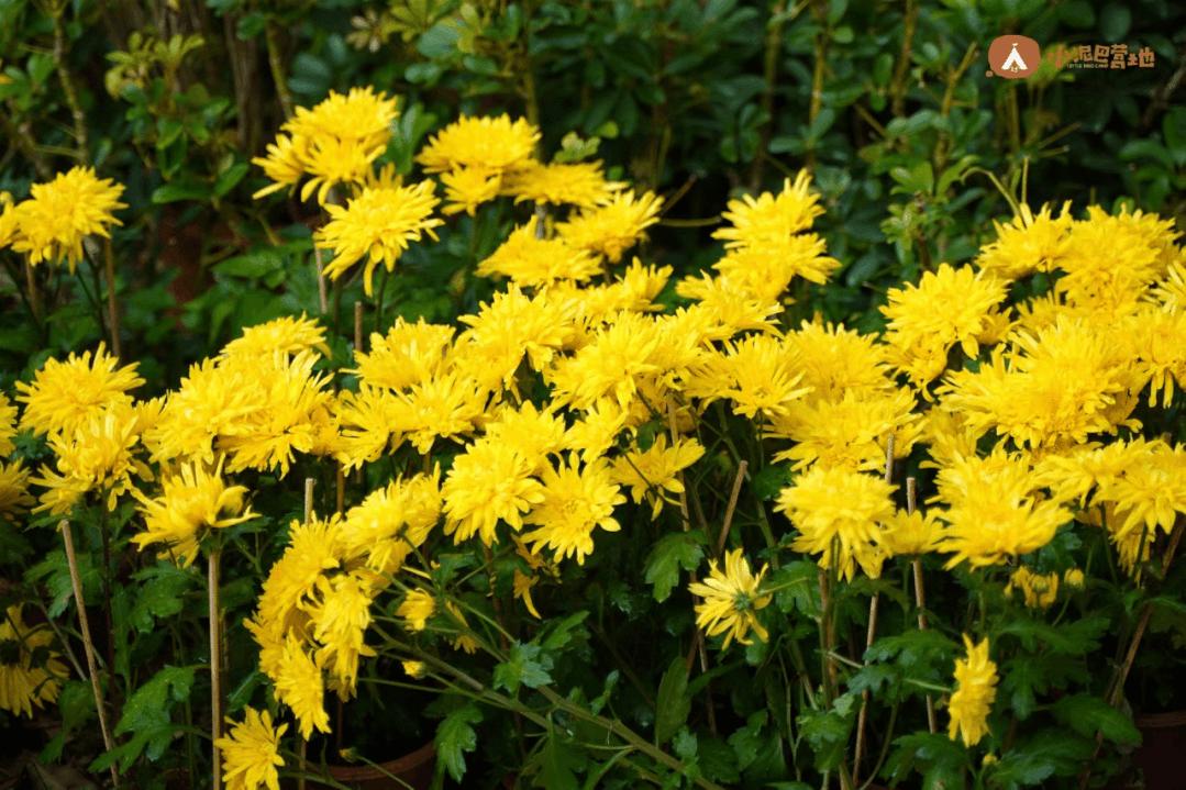 孩子上全托班的最佳年龄,幼儿刚上托班适合上什么课程