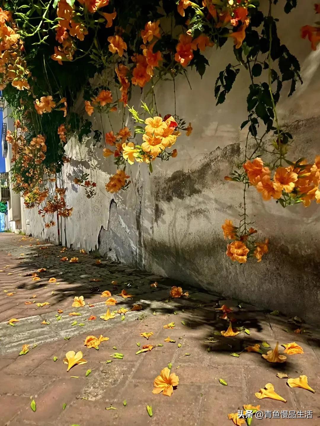 稻盛和夫给年轻人的忠告关于吃苦,见工作就干见饭就吃啥意思