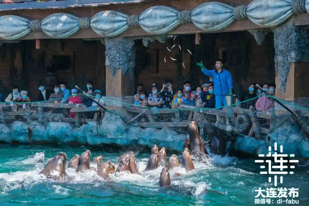 大连周边端午出游的景点推荐,大连端午假期去哪旅游最好