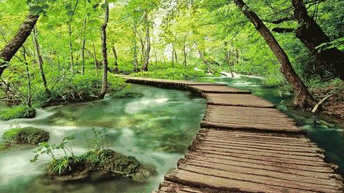 生命需要淡然岁月也需要从容,心境淡然从容