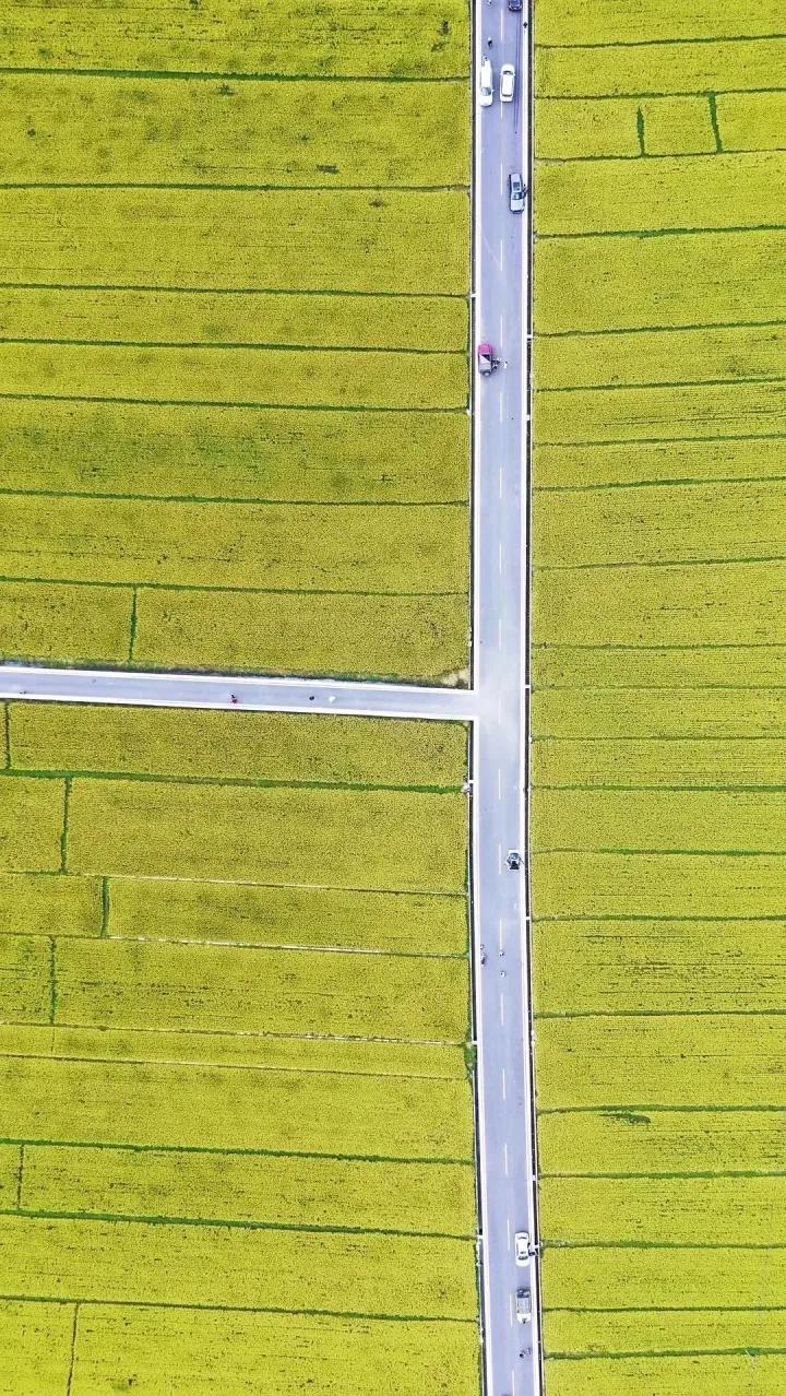 给你100万怎样实现财富自由,100万本金赚一个亿