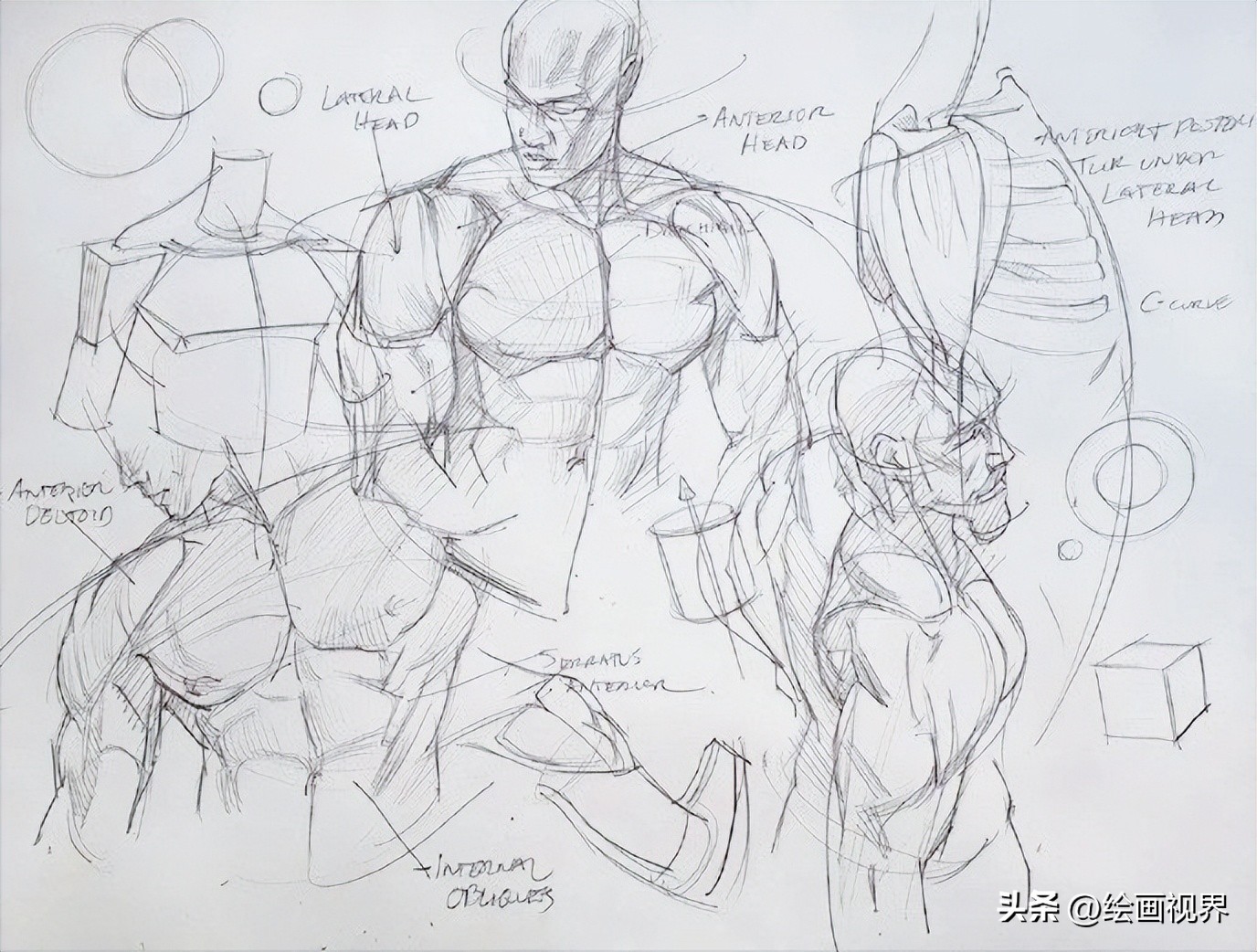 学不会人体画法怎么办,初学者不会画素描