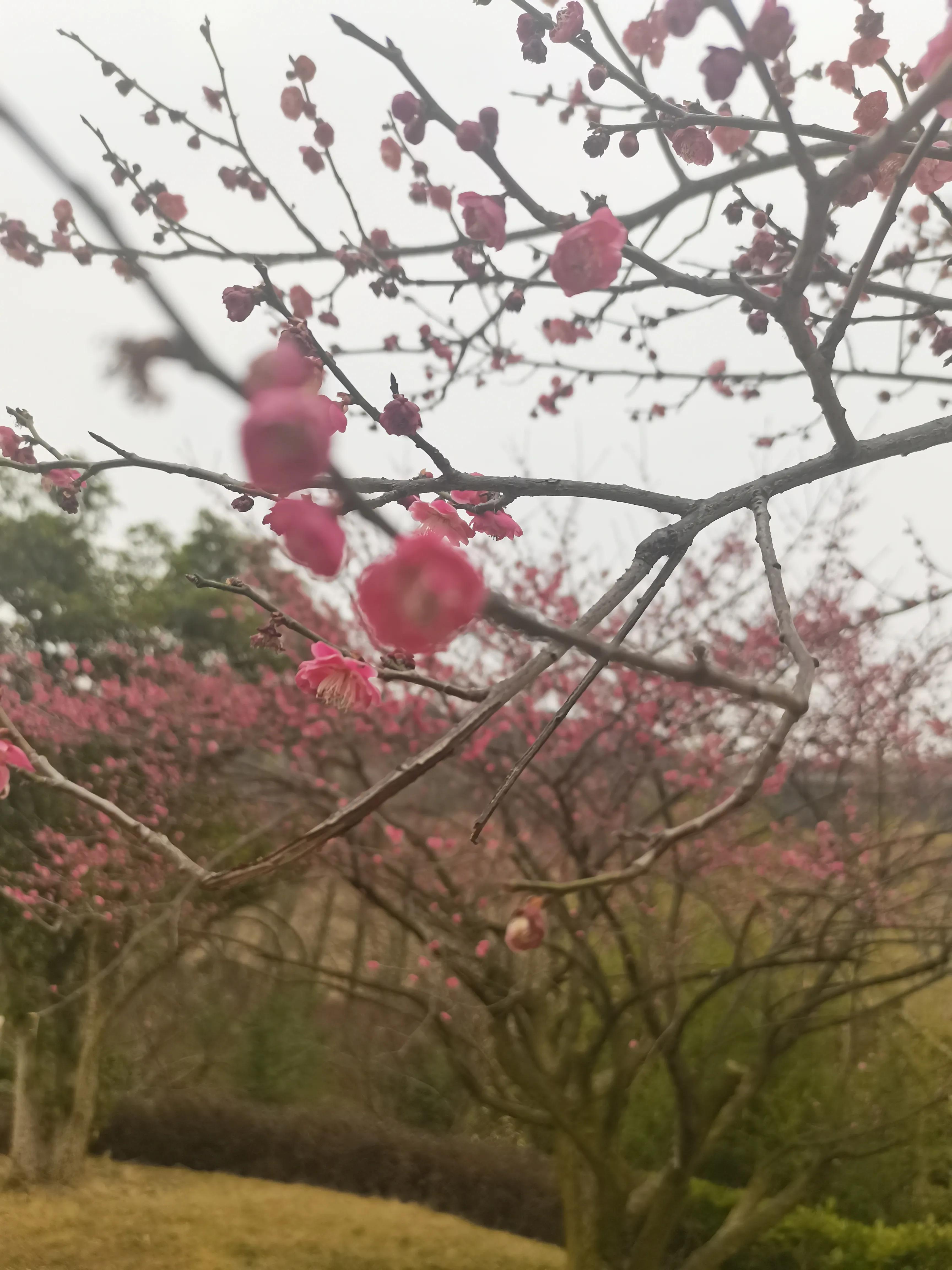 贵阳双龙生态公园怎么样,贵阳菊海双龙生态公园房价