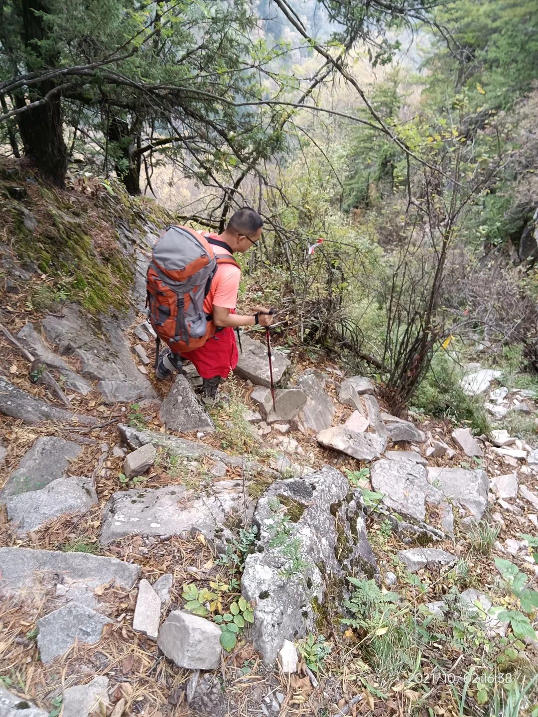 登太白山感受,太白山景区登顶拔仙台