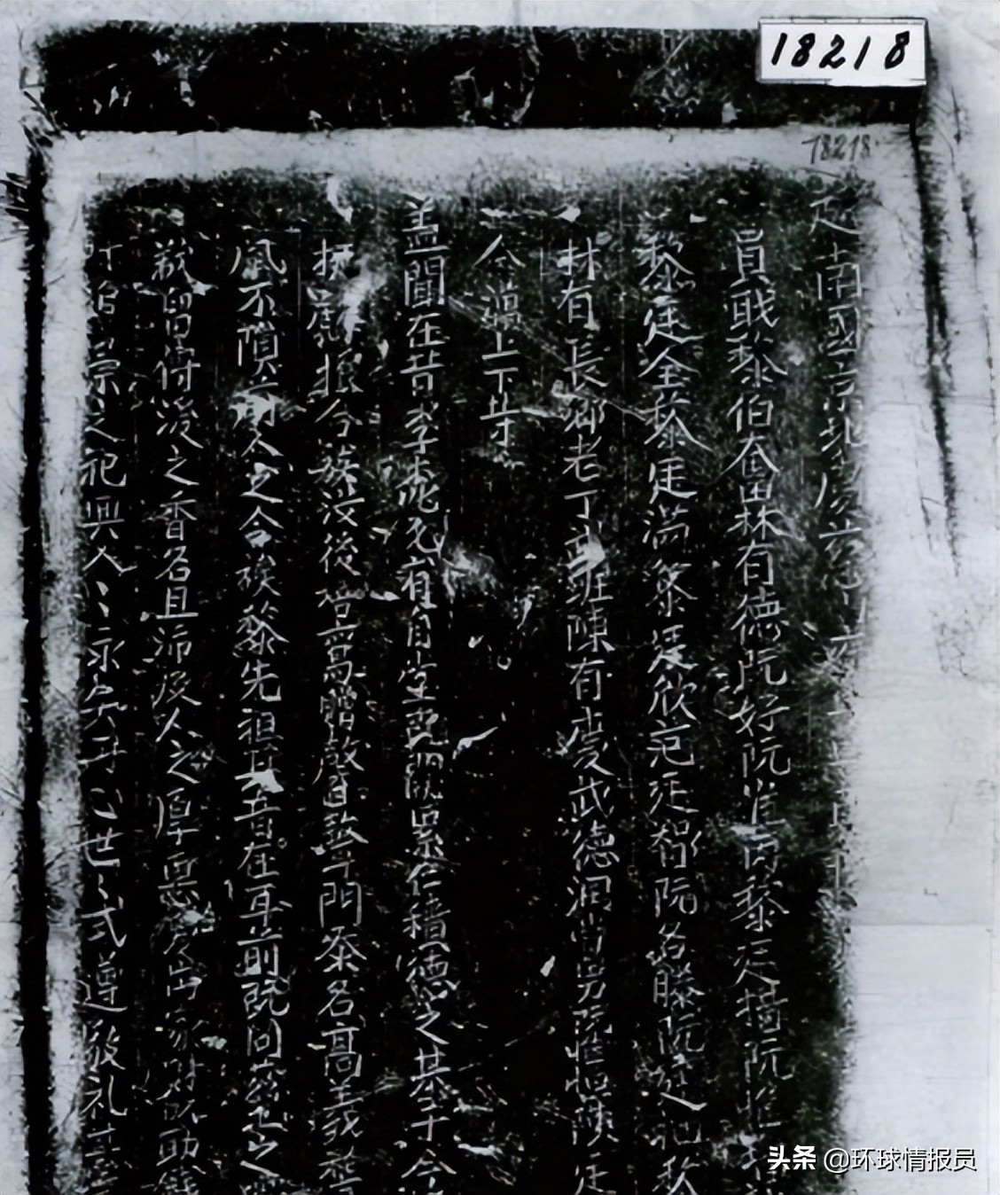 越南为什么称自己东亚,越南为什么又叫南越