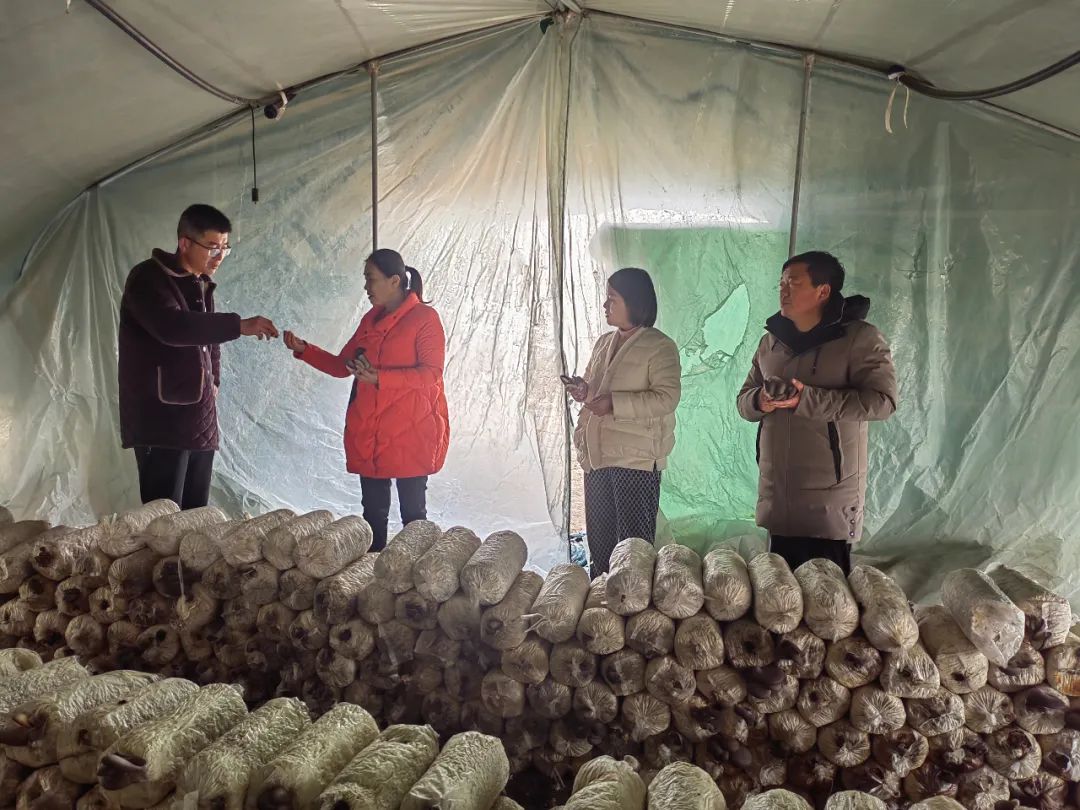 谱写供销合作社乡村振兴新篇章,持续深化供销合作社