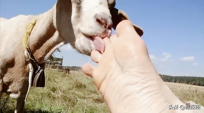 古代刑罚比较不残忍的刑罚,古代很温柔的刑罚