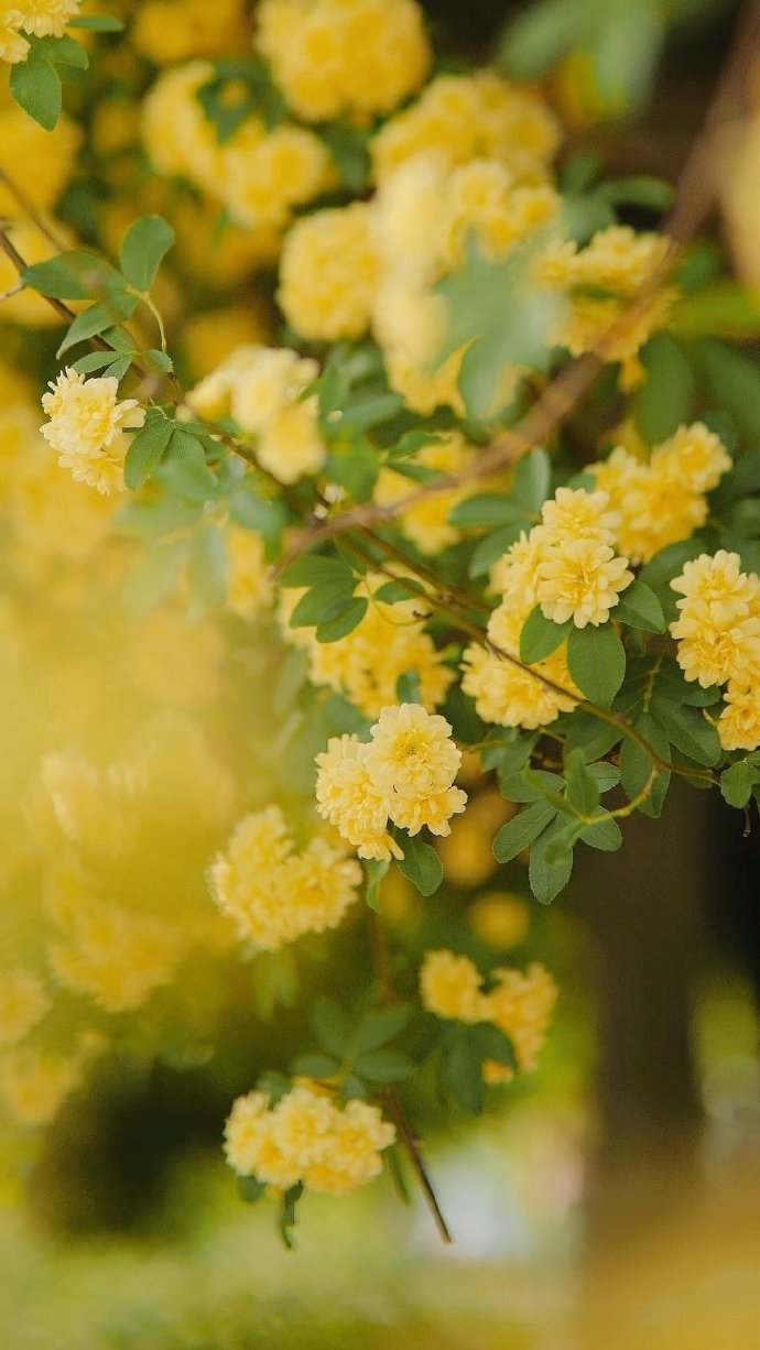 女人一旦这样称呼你说明认定你了,女人这么称呼你说明是看上你了