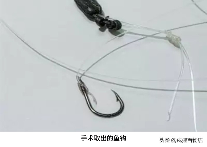 狗狗误食爆炸钩,危险狗狗