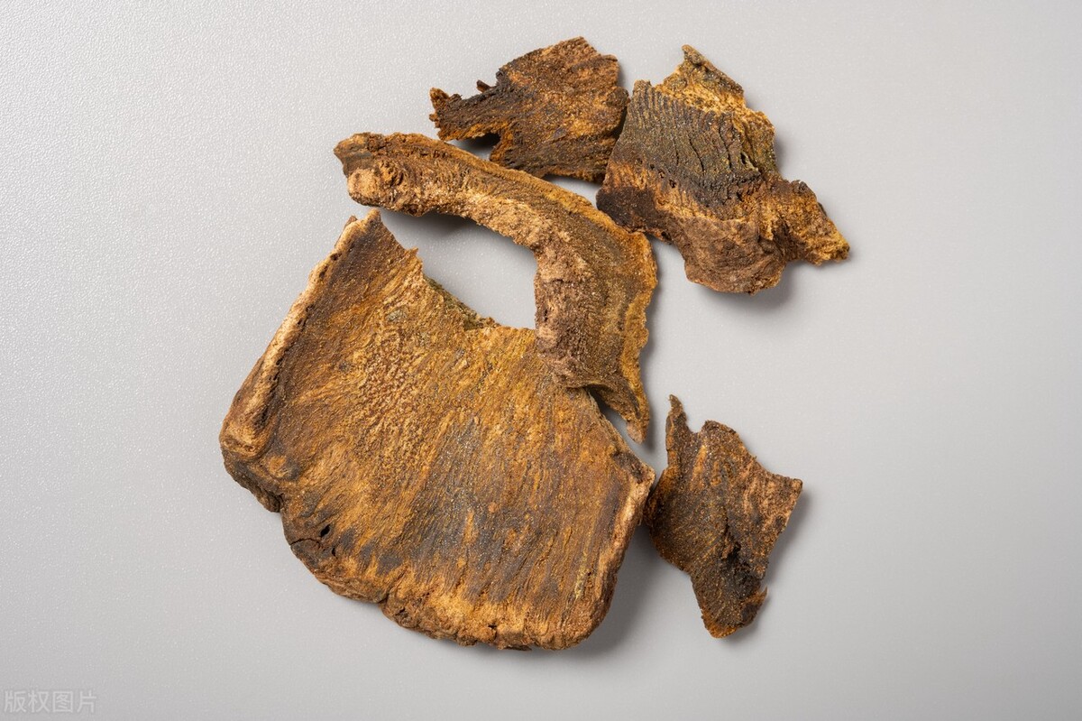 外科丹方选赏（一九〇）乳腺炎早期经验方：黄消肿解毒膏