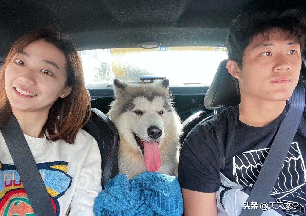 张之臻中国队,张之臻职业生涯11次被对手打出6-0