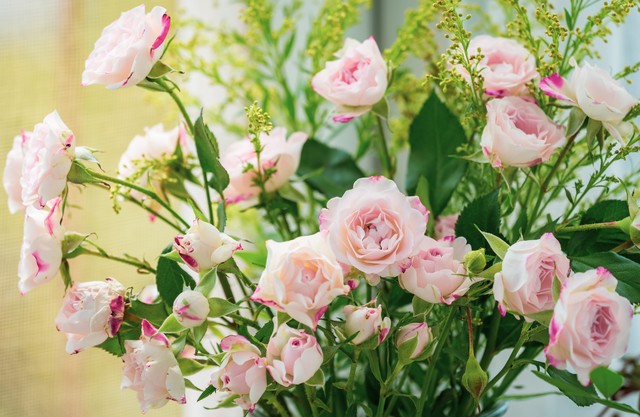 摔了之后肉疼,摔了之后的淤青