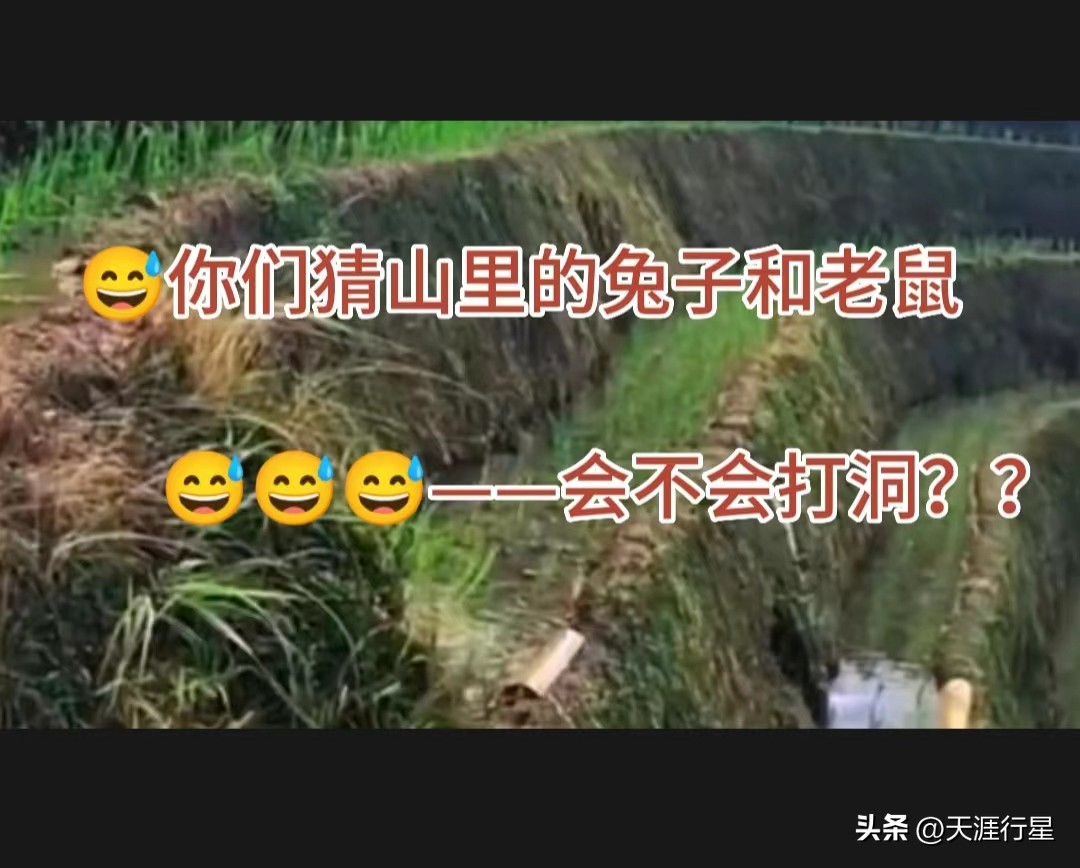 国家出资4万亿是真的吗,国家投入一万亿房地产