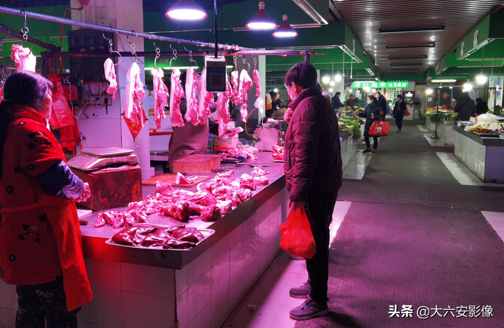 六安洞庭湖甲鱼,六安纯野生甲鱼