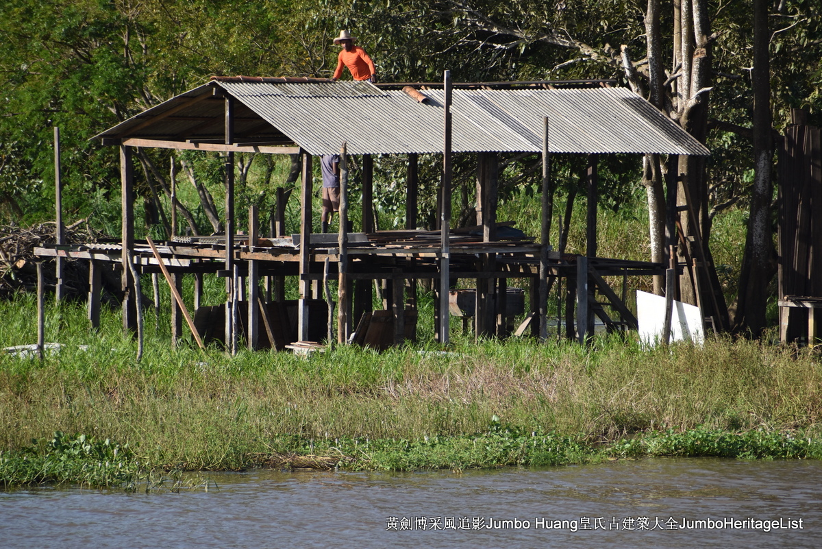 第5047回：消失的亚马逊文明，流失的林下聚居地