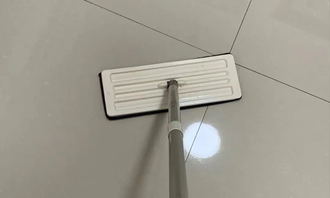 家里有蟑螂怎么办小技巧,家里有蟑螂怎么处理有最有效方法