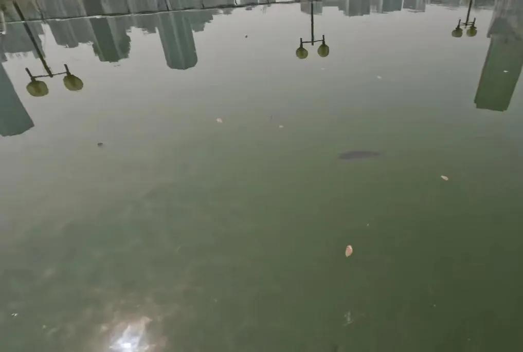 重庆哪些五星级酒店已经倒闭了,重庆倒闭的星级酒店