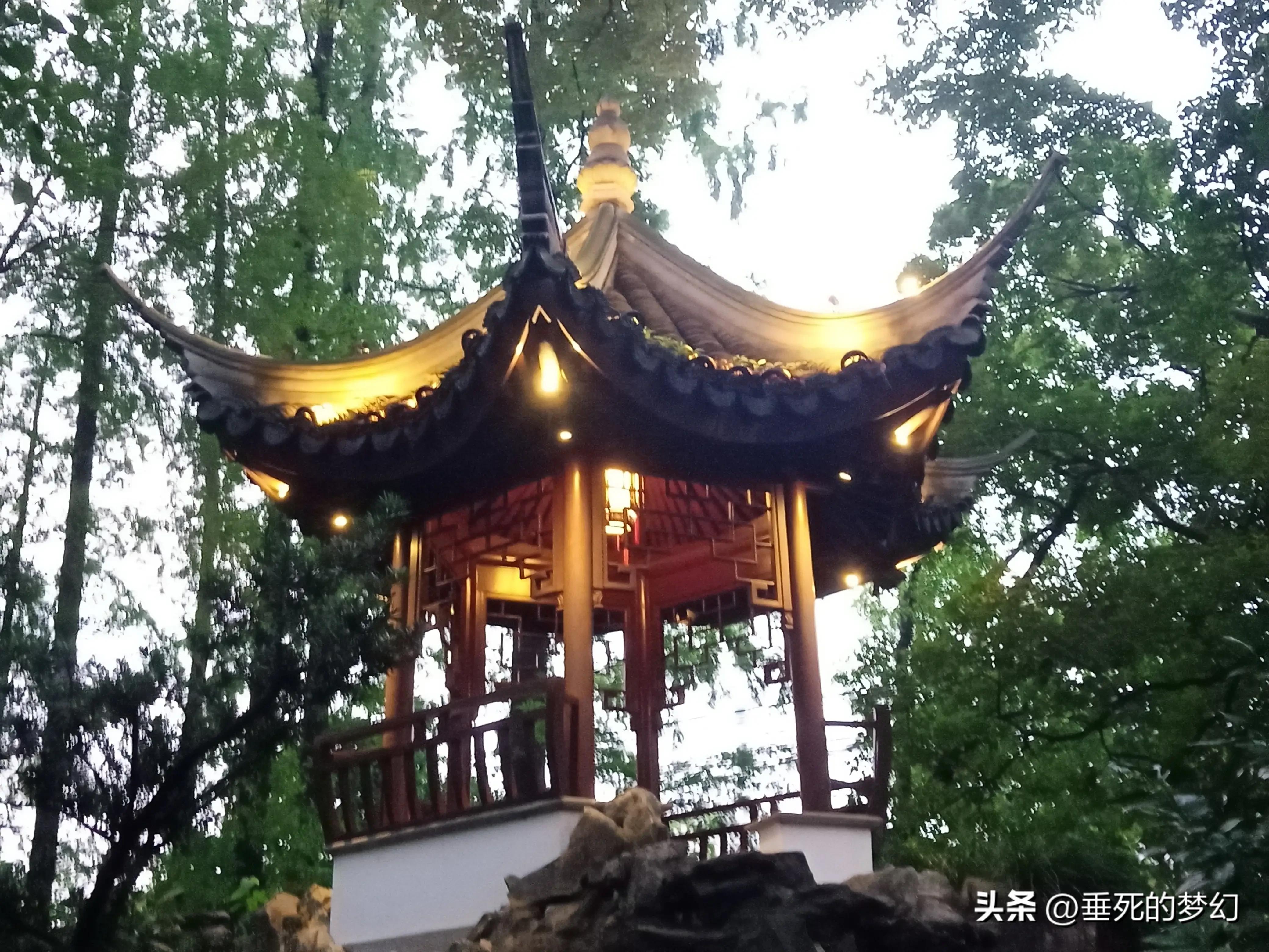 烟雨荷花情,荷花雨中