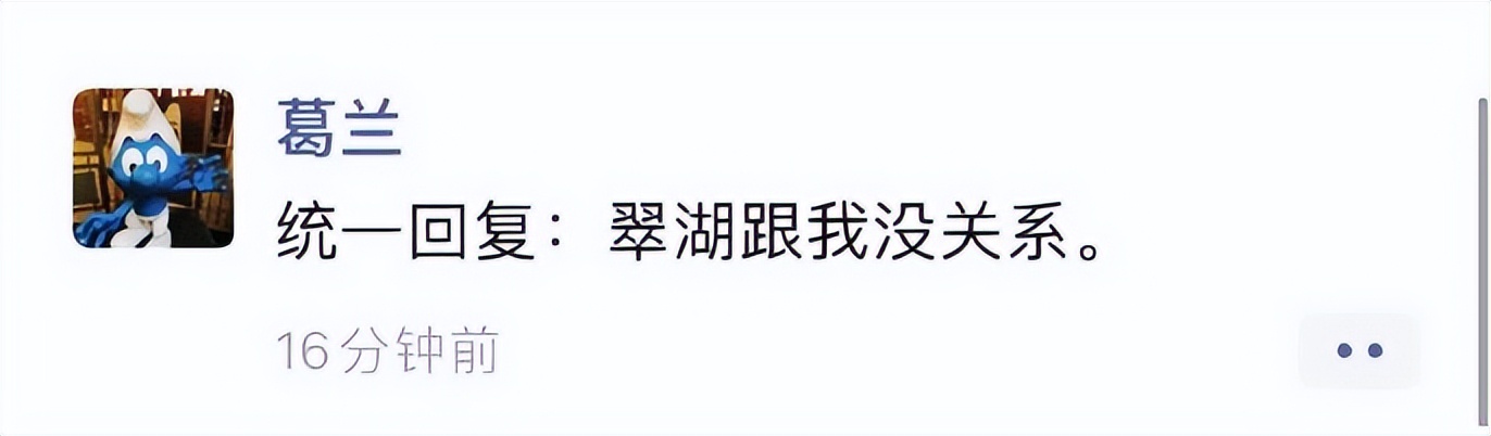 葛兰800,葛兰辟谣购买豪宅