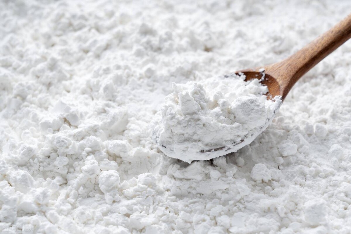 狗知识大全视频,狗知识解密