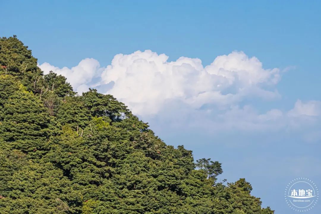 深圳免费好玩旅游景点排行榜前十,深圳十大好玩的景点推荐