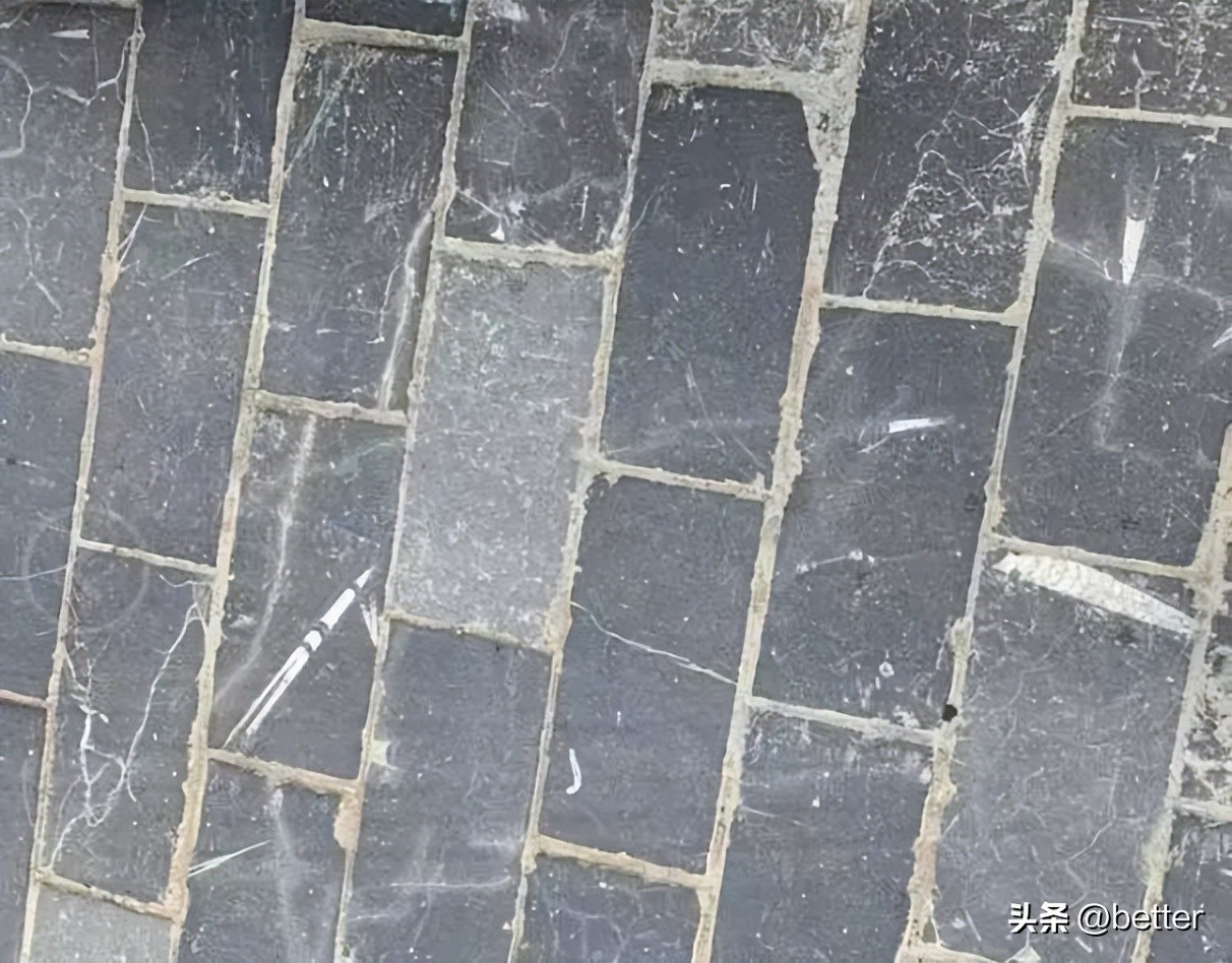 我在这家化石手作店，体验了一把「赌石」的快乐