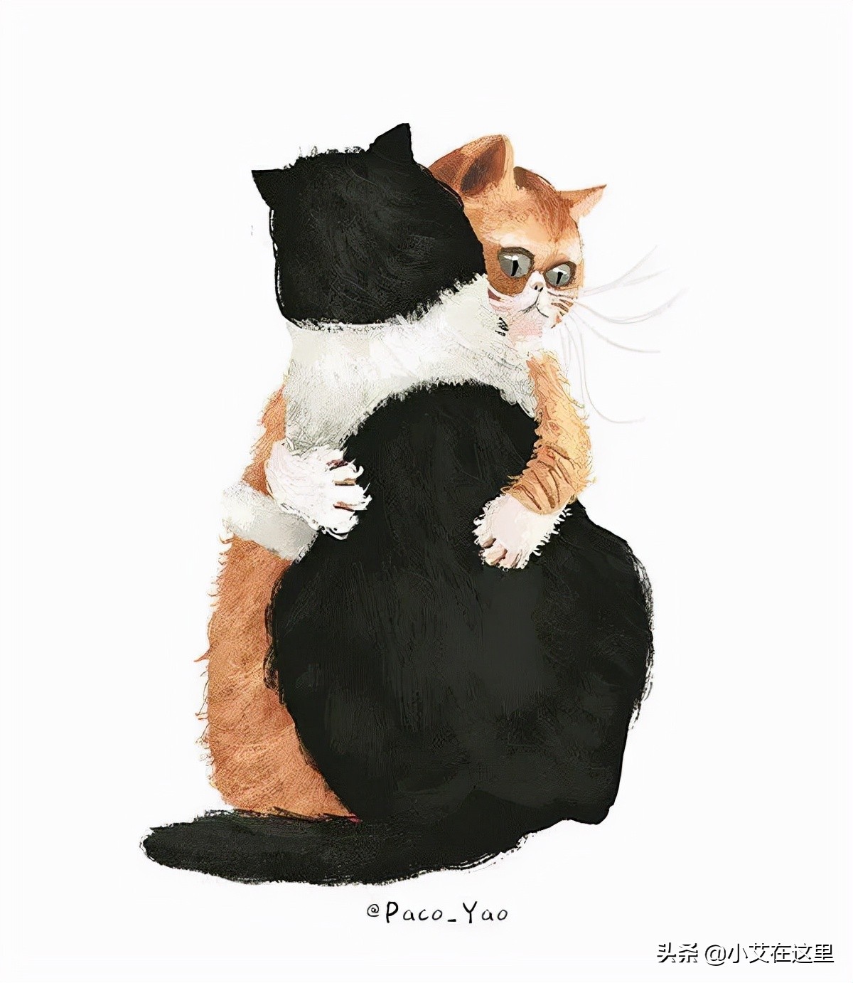 感染了艾滋病以后的生活怎么过,感染艾滋病后怎么生活