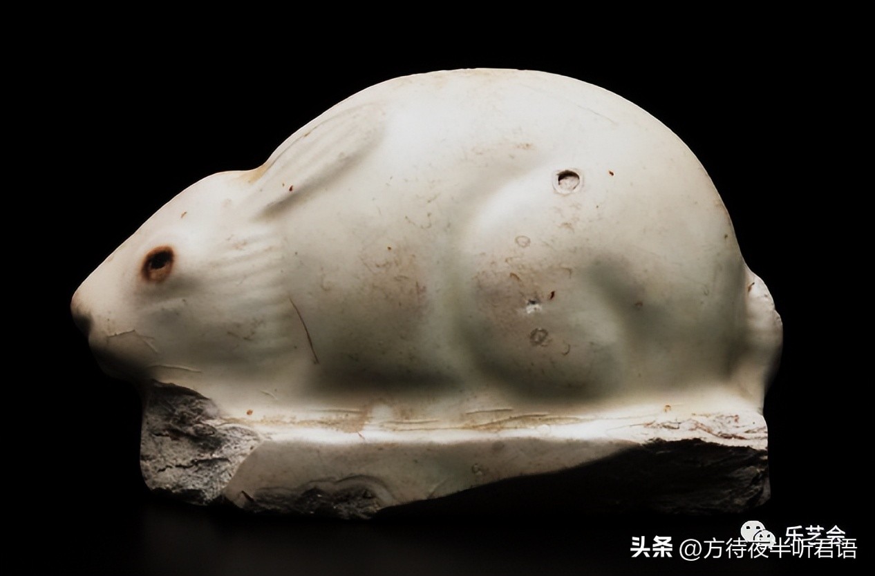 兔年说兔第一段在文中有何作用,兔年说兔说明文