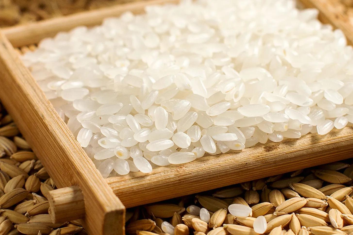 最好吃的稻米是哪一种,中国哪儿的稻米是最好的