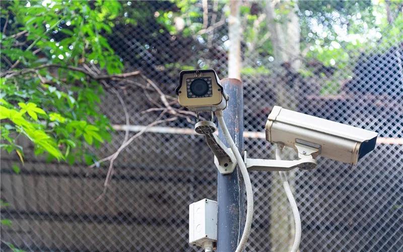 农村乡下做什么小生意可以赚钱,农村有什么不起眼又赚钱的小生意