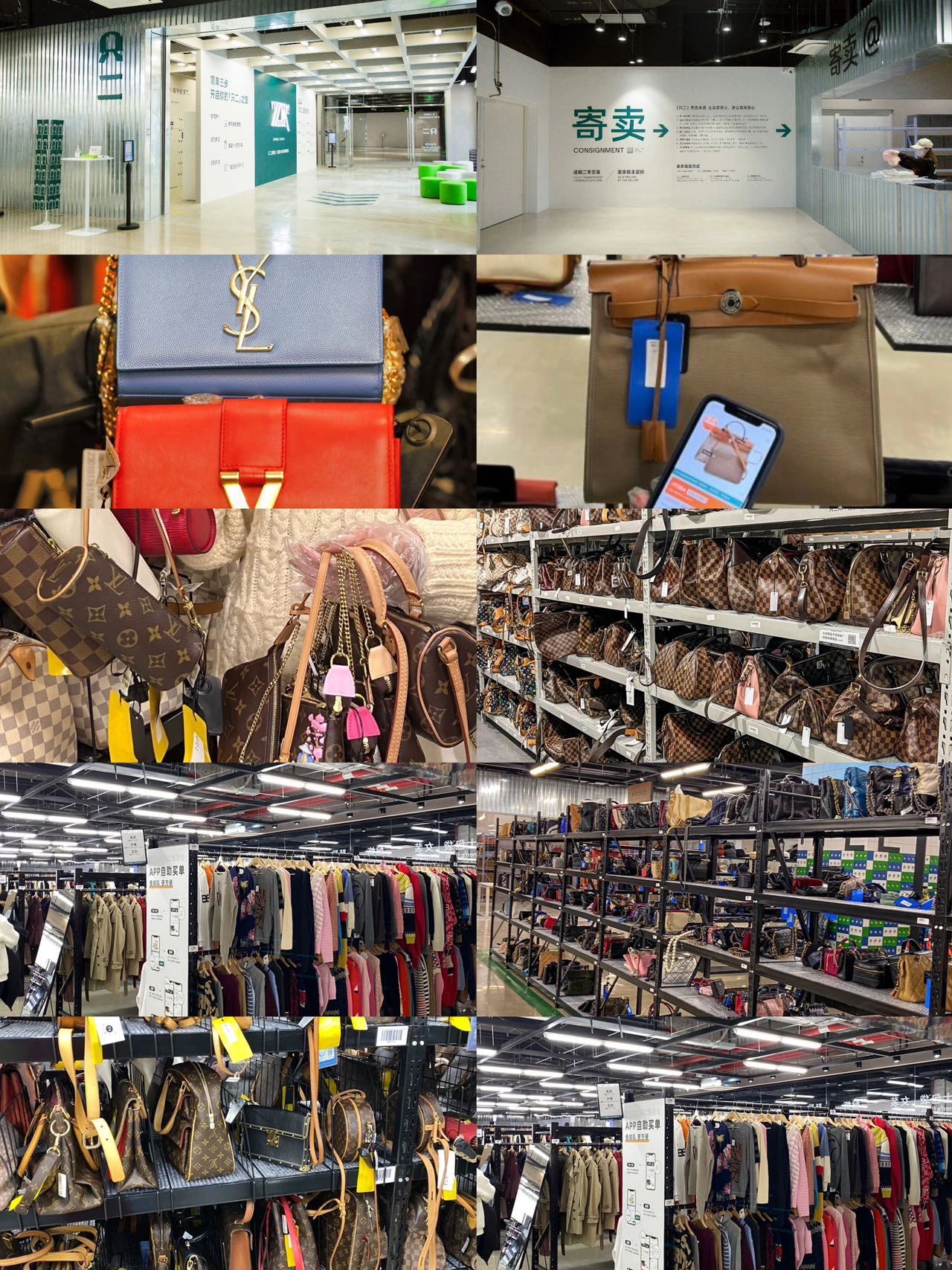 上海旅游｜六一来上海骨灰级旅游攻略