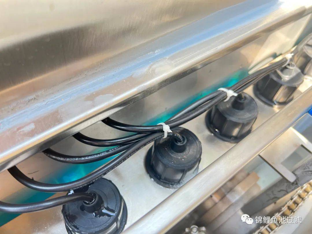 锦鲤鱼池下过滤池底粪便如何清除,锦鲤鱼池过滤仓用什么做盖子好