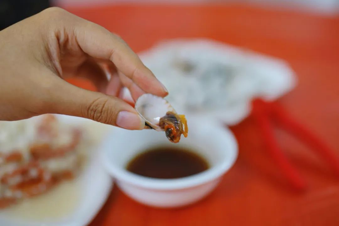 真吃不下了,这个靠海吃海的小县城怎么就能这么好吃