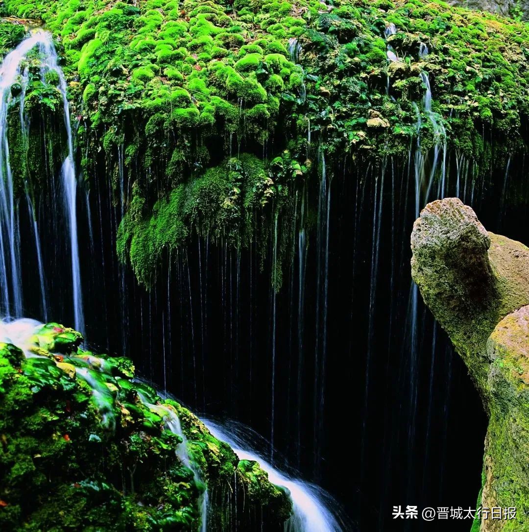 聚焦康养大会｜妙境天成仙山圣水——蟒河生态旅游区