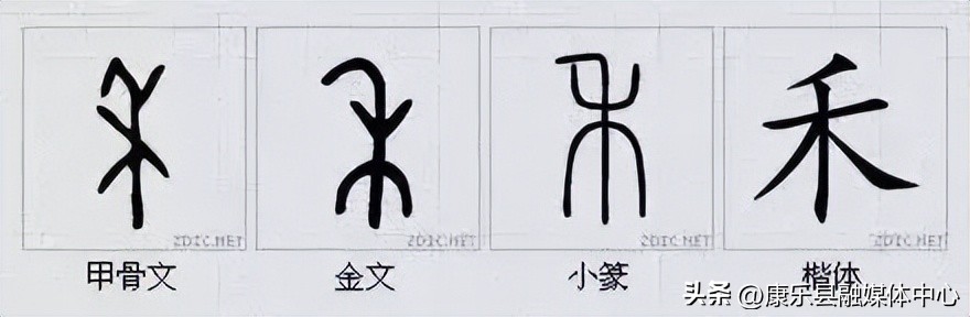 水平极高的演讲非常震撼cc讲坛,周海宏极高水平演讲