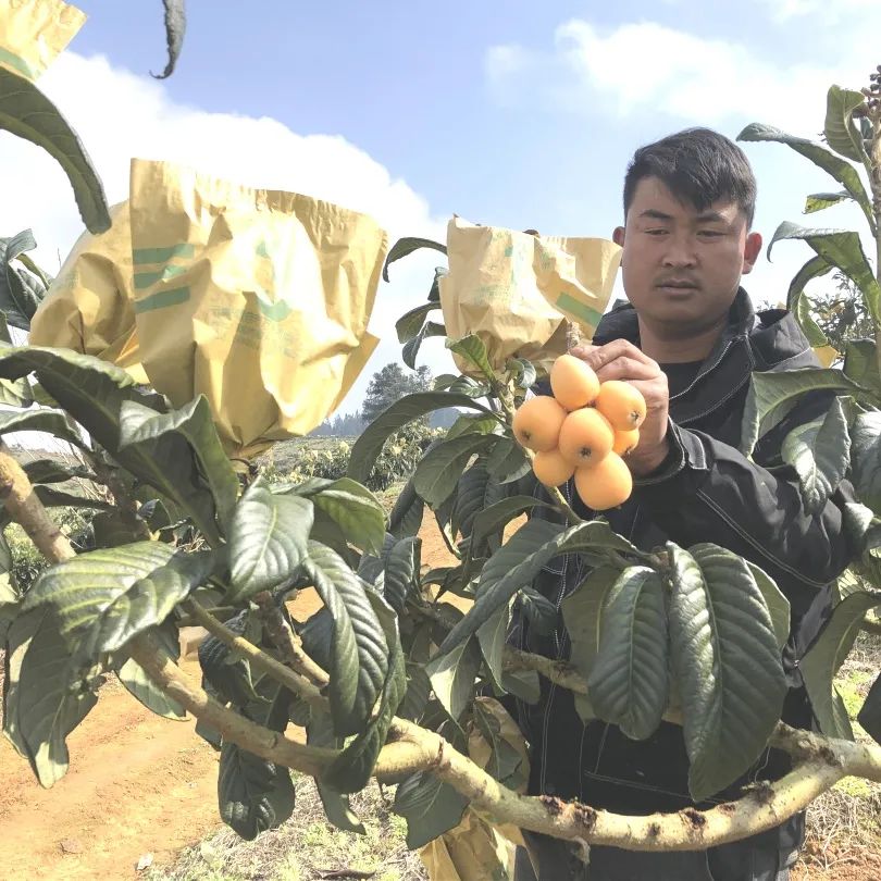 创业失败如何翻身致富,创业失败后我们该怎么做