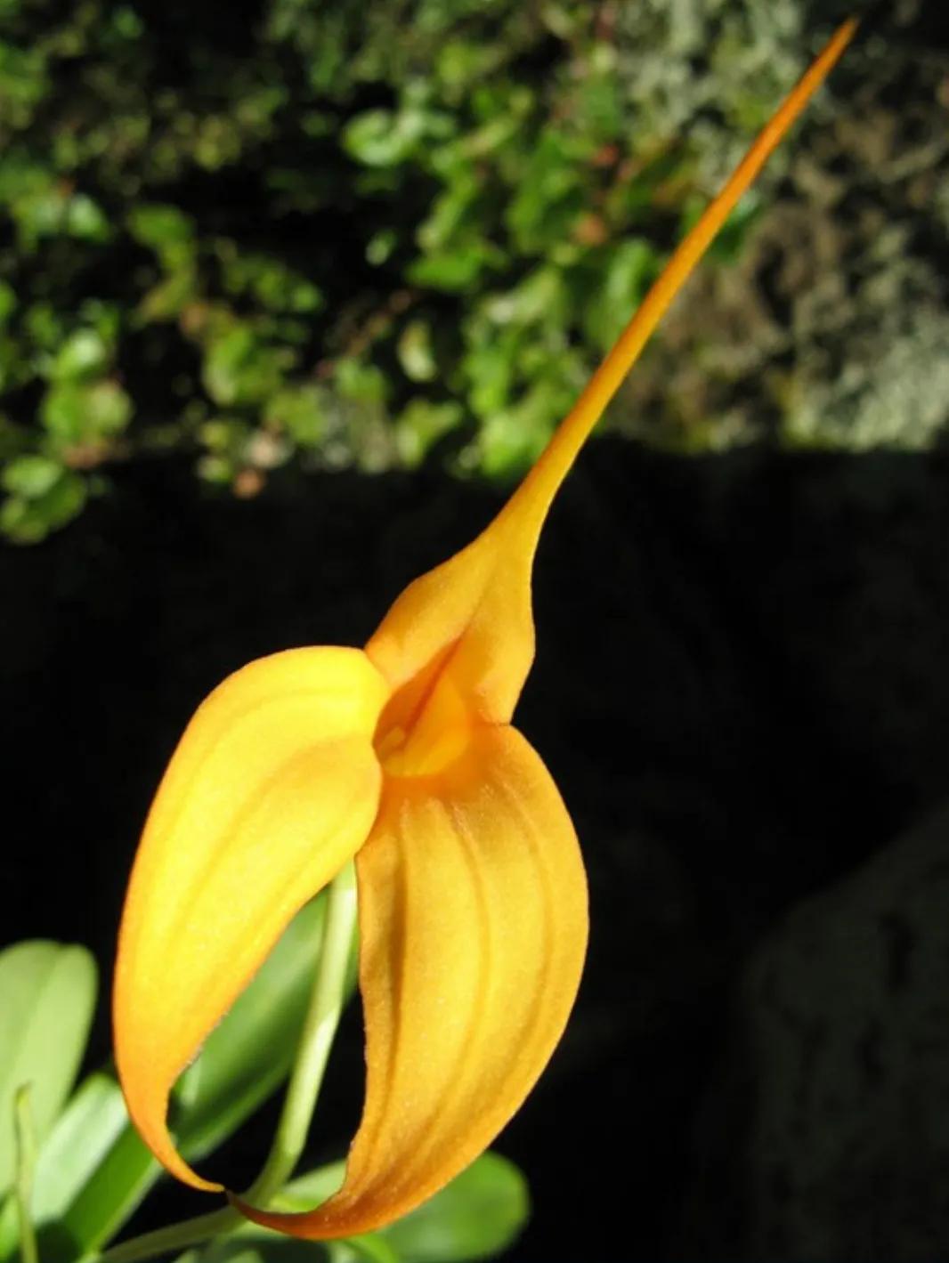 100种迷人的“数字花”,从零到一百万,真是太神奇了