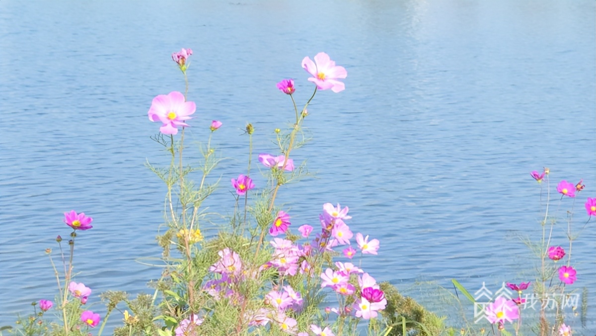 实现城市15分钟健身圈,打造百姓身边的“15分钟健身圈”